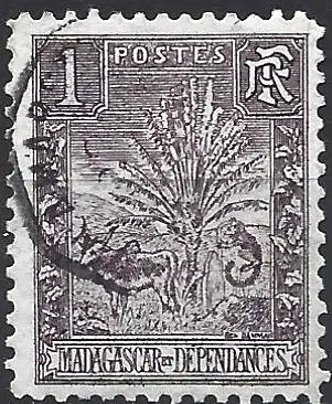 Madagaskar 1903 - Mi 59a - YT 63 - Zebu und Ravenala