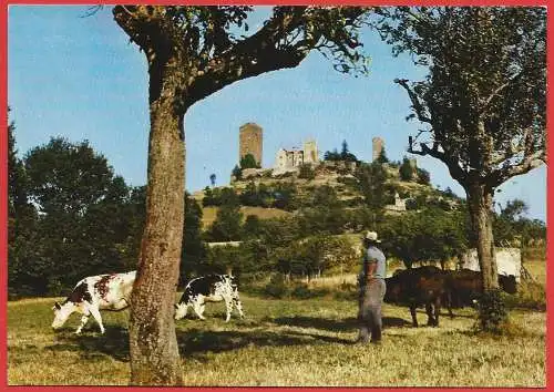 [Ansichtskarte] Frankreich (France) Lot ( 46 ) Saint-Céré : Château des Tours-Saint-Laurent. 