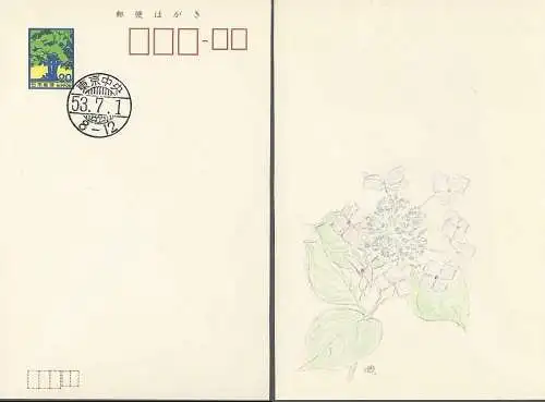 JAPAN 1978 Ganzsache Postkarte Sommergrusskarte  mit EST