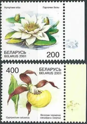 BELARUS 2001 Mi-Nr. 407/08 ** MNH