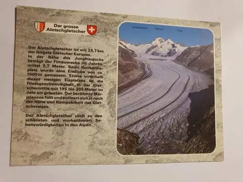 Der grosse Aletschgletscher