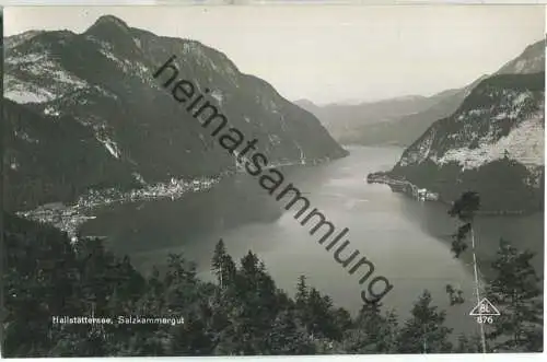 Hallstättersee - Foto-Ansichtskarte - Verlag Brüder Lenz Dobl