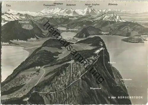 Bürgenstock - Berghaus Hammetschwand - Foto-Ansichtskarte - Verlag Wilhelm Pleyer Zürich