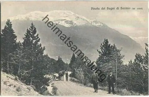 Pineta dei Bagni di Bormio - Verlag U. Trinca Sondrio