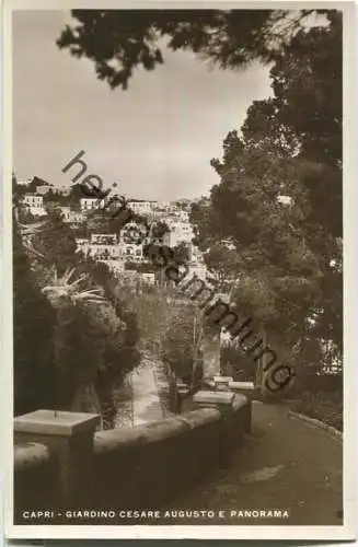 Capri - Giardino Cesare Augusto e Panorama - Foto-Ansichtskarte - Verlag Vincenzo Carcavallo Napoli