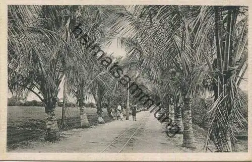 Mosambik - Beira 1914