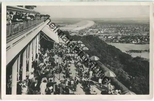 Wien - Blick von der Kahlenbergterrasse - Foto-Ansichtskarte - Verlag Postkarten Industrie AG Wien