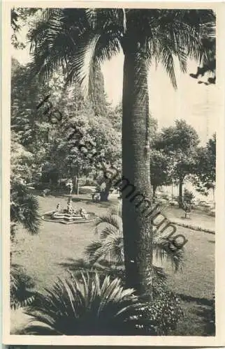 Bellagio - Nel giardino di Villa Serbelloni - Foto-Ansichtskarte