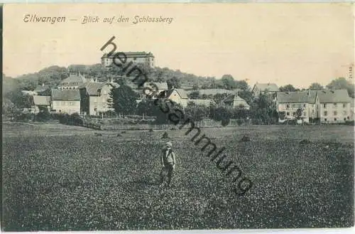 Ellwangen - Blick auf den Schlossberg - Verlag Reinicke & Rubin Magdeburg 1907