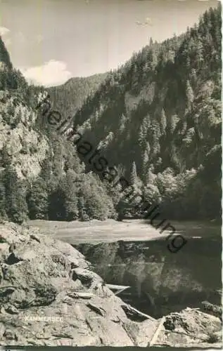 Kammersee - Foto-Ansichtskarte - Verlag Albert Rastl Bad Aussee