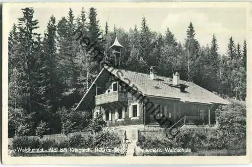 Waldheimat - Alpl - Krieglach - Waldschule - Foto-Ansichtskarte - Verlag P. Ledermann Wien