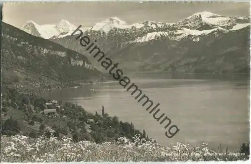 Thunersee - Eiger Mönch und Jungfrau - Foto-Ansichtskarte - Verlag Photoglob-Wehrli & Vouga & Co. AG Zürich