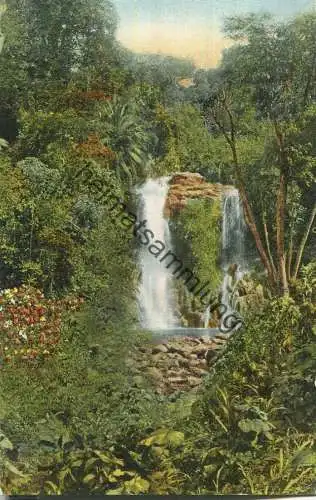 Tropischer Bergwald mit Wasserfall bei Moschi am Kilimandscharo - Serie Afrika II Nr. 3