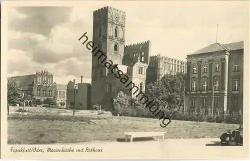 Frankfurt/Oder - Marienkirche mit Rathaus - Foto-Ansichtskarte - Verlag Felix Setecki Berlin