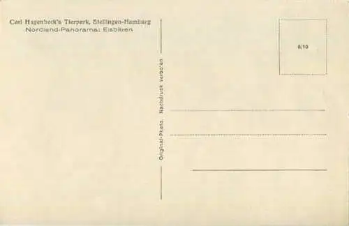 Hamburg - Stellingen - Carl Hagenbeck s Tierpark - Eisbären - Foto-Ansichtskarte