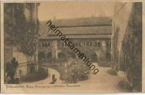 Hildesheim - Kreuzgang und 1000-jährige Rose - Verlag E. Baxmann Hildesheim