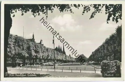 Rostock - Rosengarten - Foto-Ansichtskarte 30er Jahre - Verlag Carl Friedrich Fangmeier Magdeburg