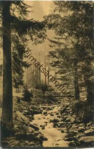 Bad Harzburg - Partie am Radautal - Radau Wasserfall - Verlag R. Lederbogen Halberstadt