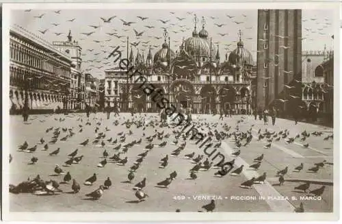 Venedig - Venezia - Piccioni in Piazza S. Marco - Foto-Ansichtskarte 30er Jahre - Verlag G. Brocca Venezia