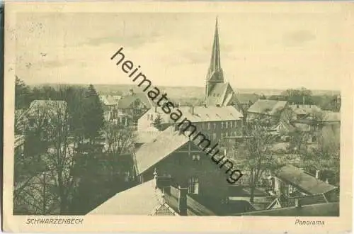 Schwarzenbeck - Panorama - Verlag M. Glückstadt & Münden Hamburg