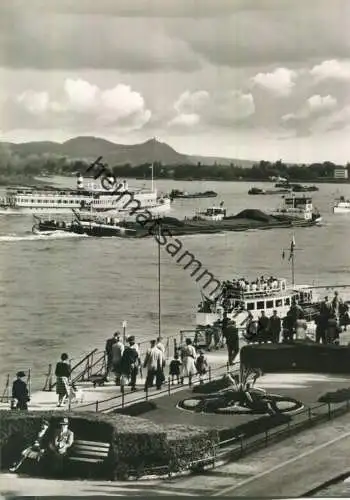 Bonn - Rheinschiffe - Foto-AK Grossformat - Verlag Sühwold Köln