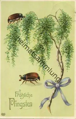 Pfingsten - Maikäfer