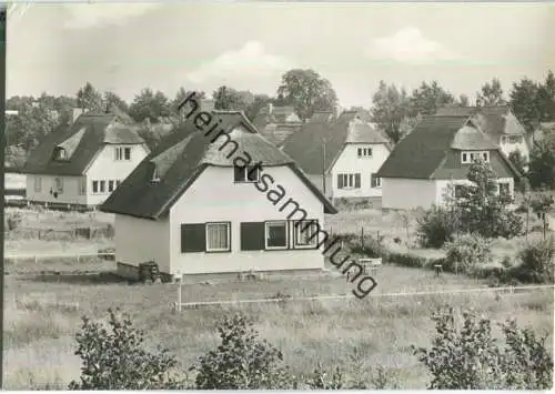 Ostseebad Ahrenshoop - Siedlung am Hochufer - Foto-Ansichtskarte - Planet-Verlag Berlin