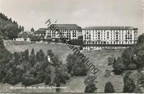 Bürgenstock - Park- und Palace Hotel - Foto-AK - Verlag Photoglob-Wehrli AG Zürich