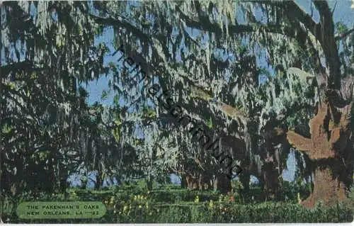 New Orleans - The Parkenham's Oaks