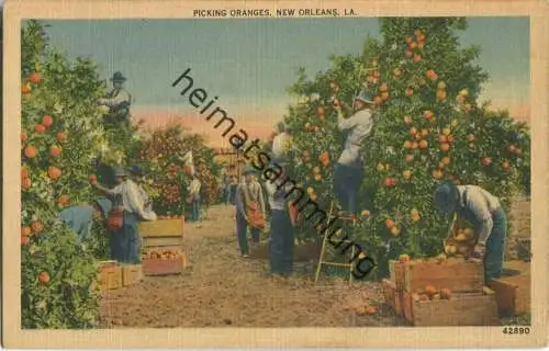 New Orleans - Picking Oranges