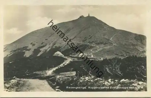 Koppenplan mit Schneekoppe - Foto-AK - Verlag Paul Höckendorf Hirschberg