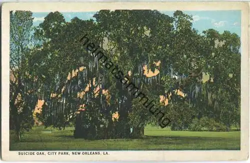 New Orleans - City Park - Suicide Oak