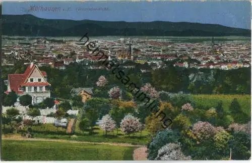 Mülhausen im Elsass (Mulhouse) - Gesamtansicht - Verlag Emil Hartmann Strassburg