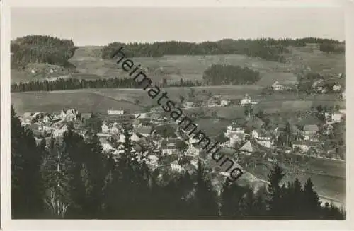 Grünen - Foto-AK - Edition Franco-Suisse Berne gel. 1972