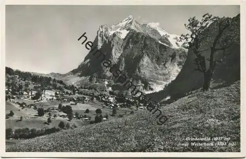 Grindelwald - Foto-AK - Verlag Photoglob-Wehrli Zürich