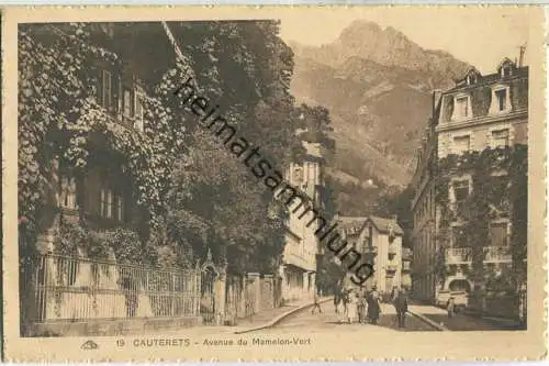 Cauterets - Avenue du Mamelon-Vert - Edition Cie Alsacienne des Arts Photomecaniques Strasbourg