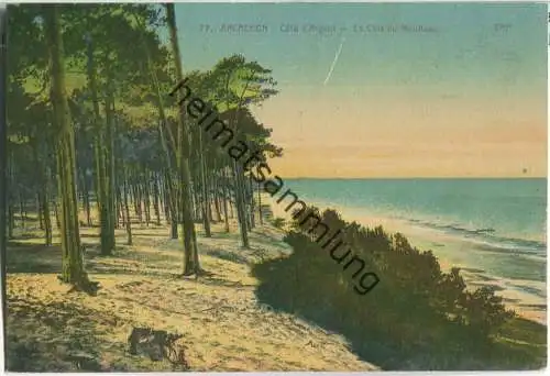 Arcachon - Cote d'Argent - La Cote du Moulleau