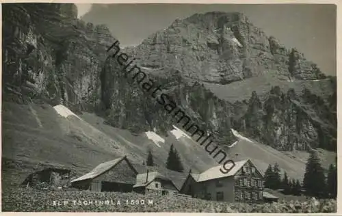 Alp Tschingla - Foto-AK - Verlag Photo Widmer Wallenstadt gel. 1927
