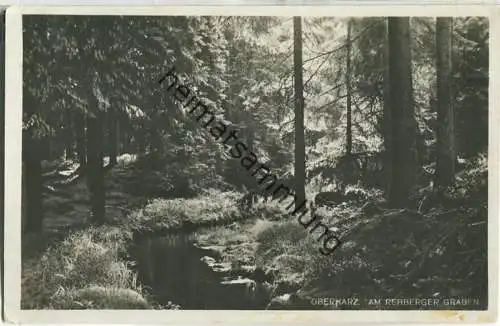 Am Rehberger Graben - Foto-Ansichtskarte - Verlag R. Lederbogen Halberstadt 30er Jahre