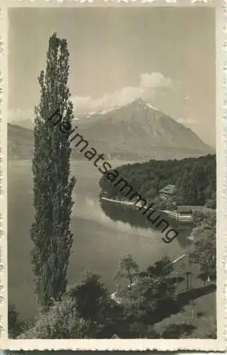 Interlaken - Thunersee mit Niesen - Foto-Ansichtskarte - Verlag Phot. Stump & Cie. Interlaken