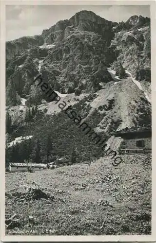 Staudacher Alm - Elfer - Foto-Ansichtskarte - Verlag H. Haug Unterwössen