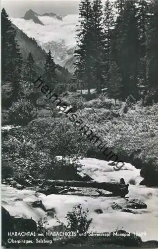 Habachtal - Habachkees - Foto-Ansichtskarte - Verlag Schöllhorn & Co Innsbruck