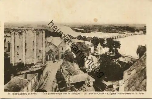 Beaugency - Vue panoramique sur la Sologne