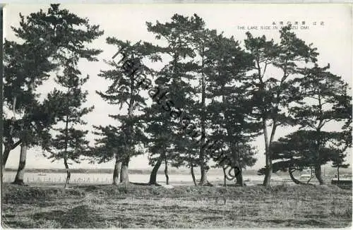 The lake side in Awadzu Omi - Foto-Ansichtskarte