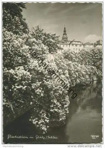 Fliederblüte in Glatz - Popp-Verlag Heidelberg - Einzelhandabzug