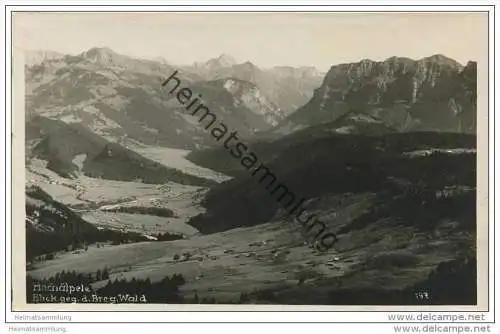 Hochälpele - Blick gegen den Bregenzer Wald - Foto-AK 20er Jahre