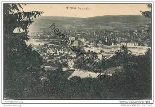 Hameln - Totalansicht