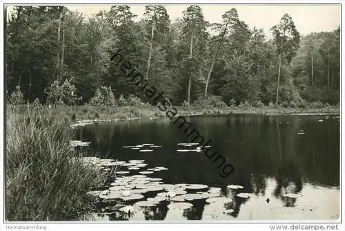 Neuglobsow - Teufelssee - Foto-AK Handabzug