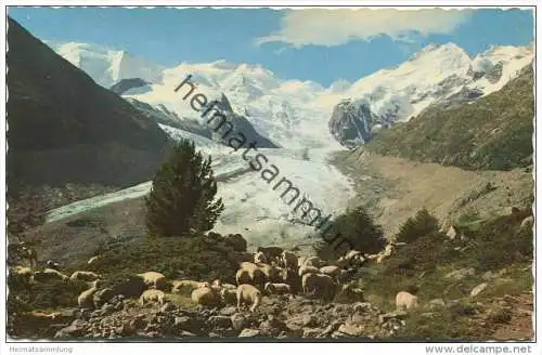 Morteratschgletscher mit Piz Palü - Verlag Photoglob-Wehrli AG Zürich