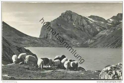 Der Daubensee am Gemmipass - Foto-AK - Verlag Gyger Adelboden